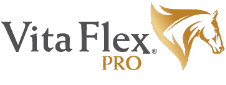VitaFlex_Logo