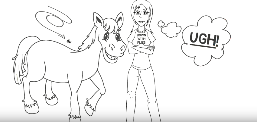 No Fly Zone strategy video 