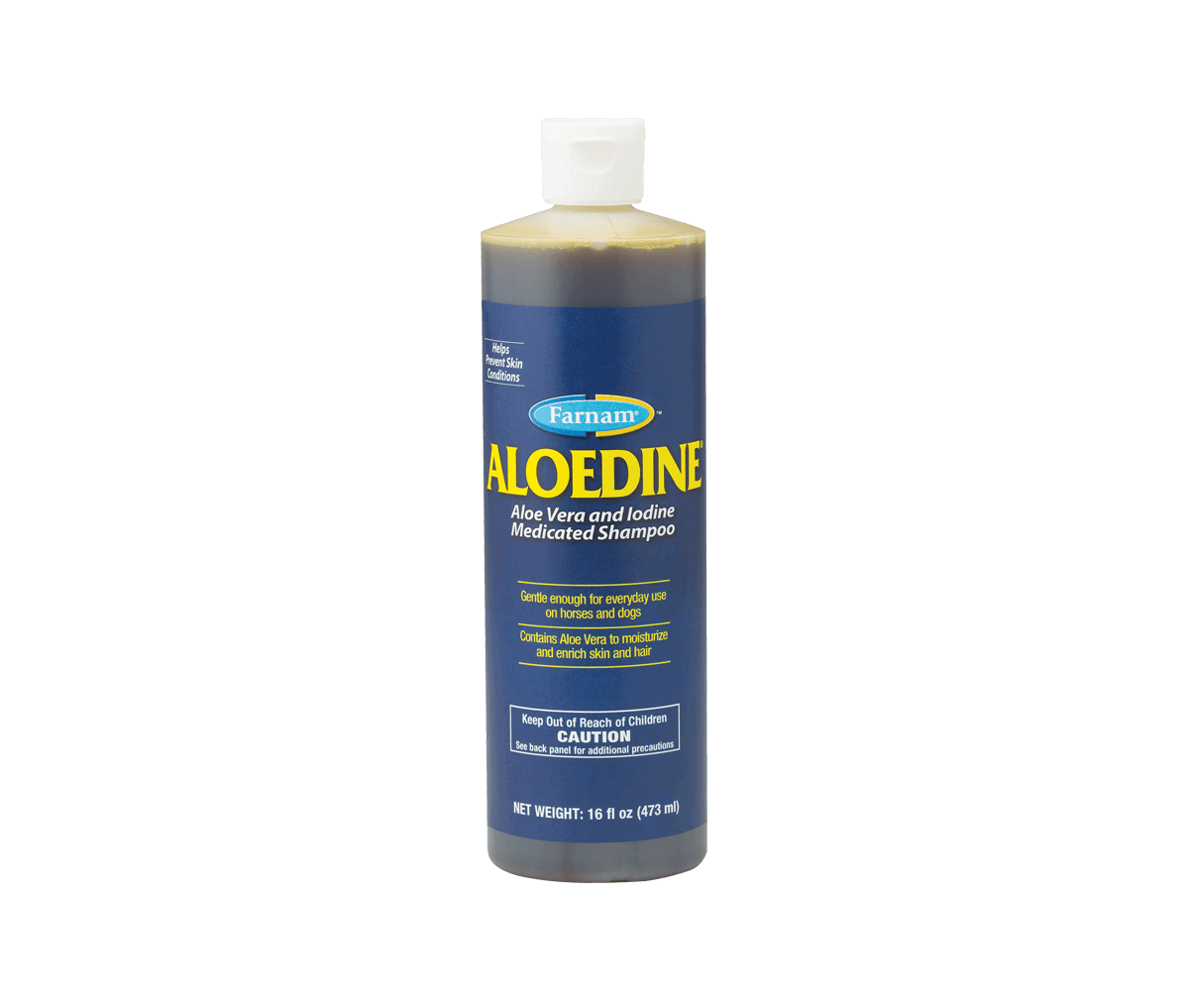 Aloedine-Aloe-Vera-and-Iodine-Medicated-Shampoo_16-fl-oz_21112_Product-Image-png