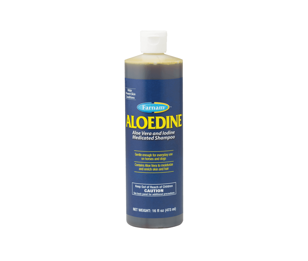 Betadine shampoo for deals dogs
