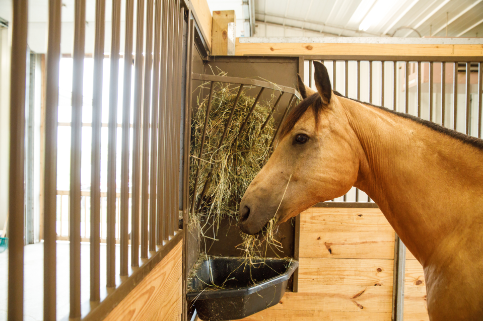 feeding-the-weanling
