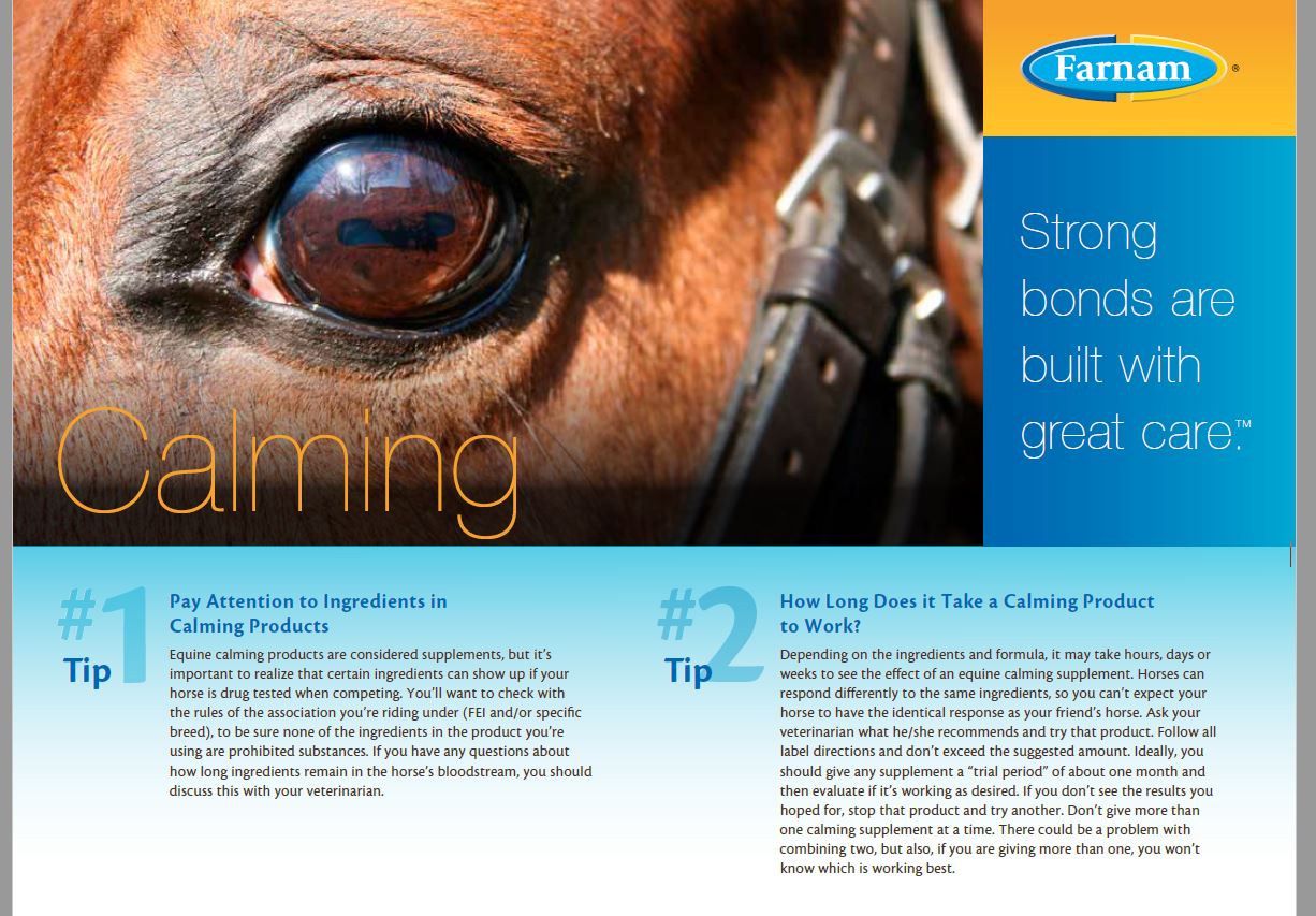 pay-attention-to-ingredients-in-equine-calming-products