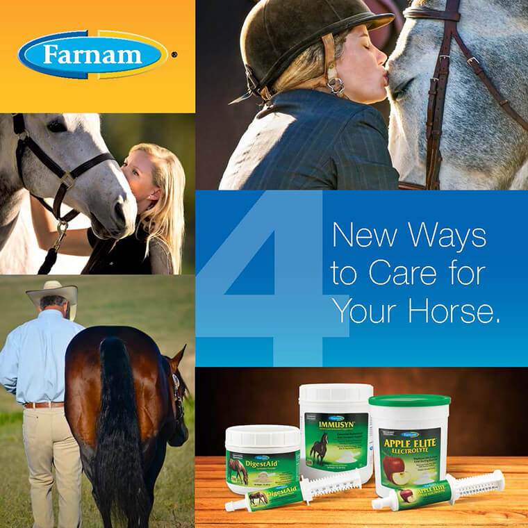 4-new-ways-to-care-for-your-horse