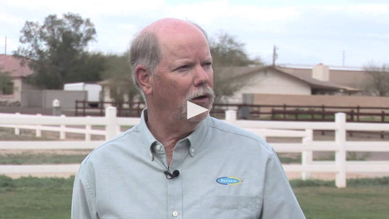 ingesting-sand-and-dirt
