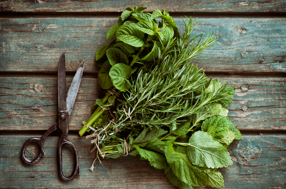 Learn about natural fly sprays that contain essential oils and botanicals.