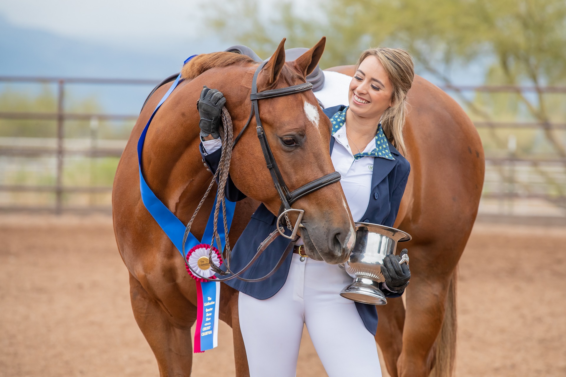 grooming for competition, learn how so your horse looks good when he steps in the ring