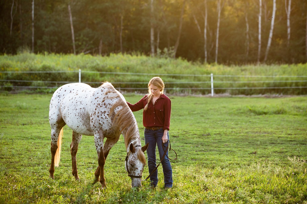 horse-dewormer-protocol-up-to-date