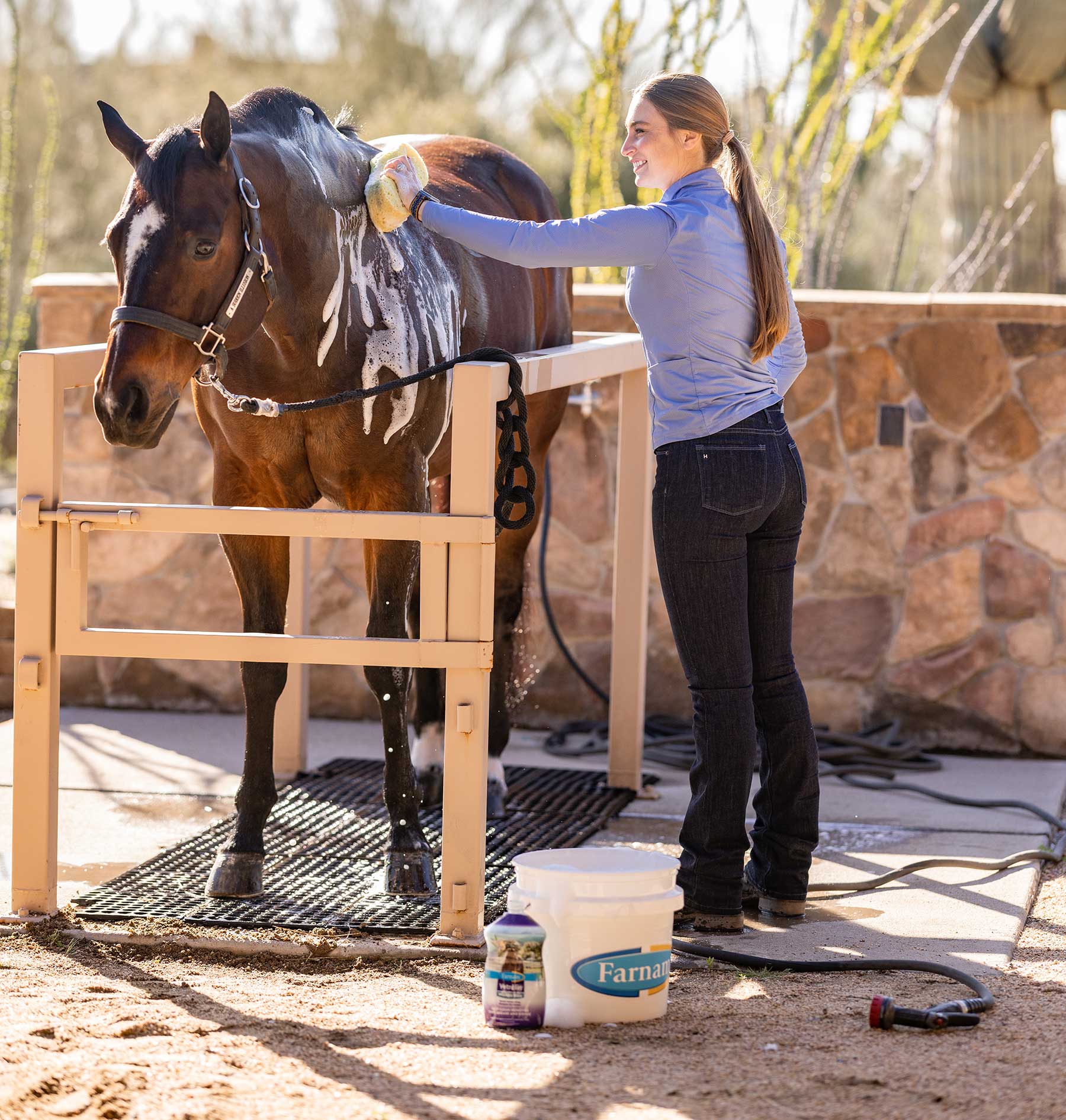 how-to-bathe-your-horse-hero