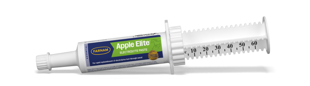 Apple Elite Paste