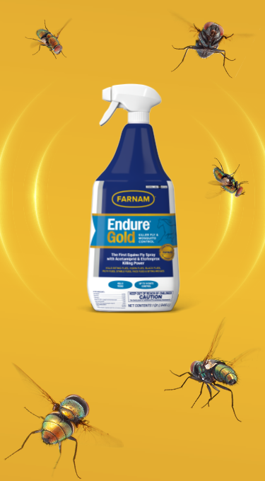 Benefits-SectionArtboard-2 1 (1)