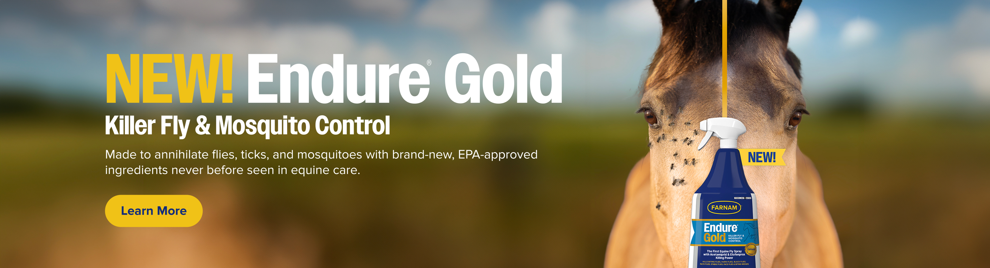 Endure-Gold-Desktop-Banner