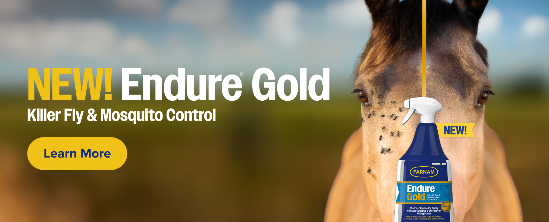 Endure-Gold-Mobile-Banner
