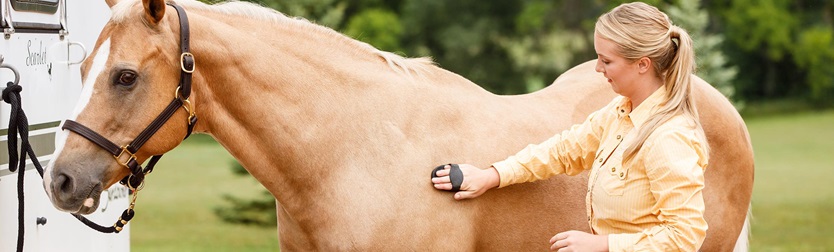 Horse Care Horse Grooming Supplies Farnam