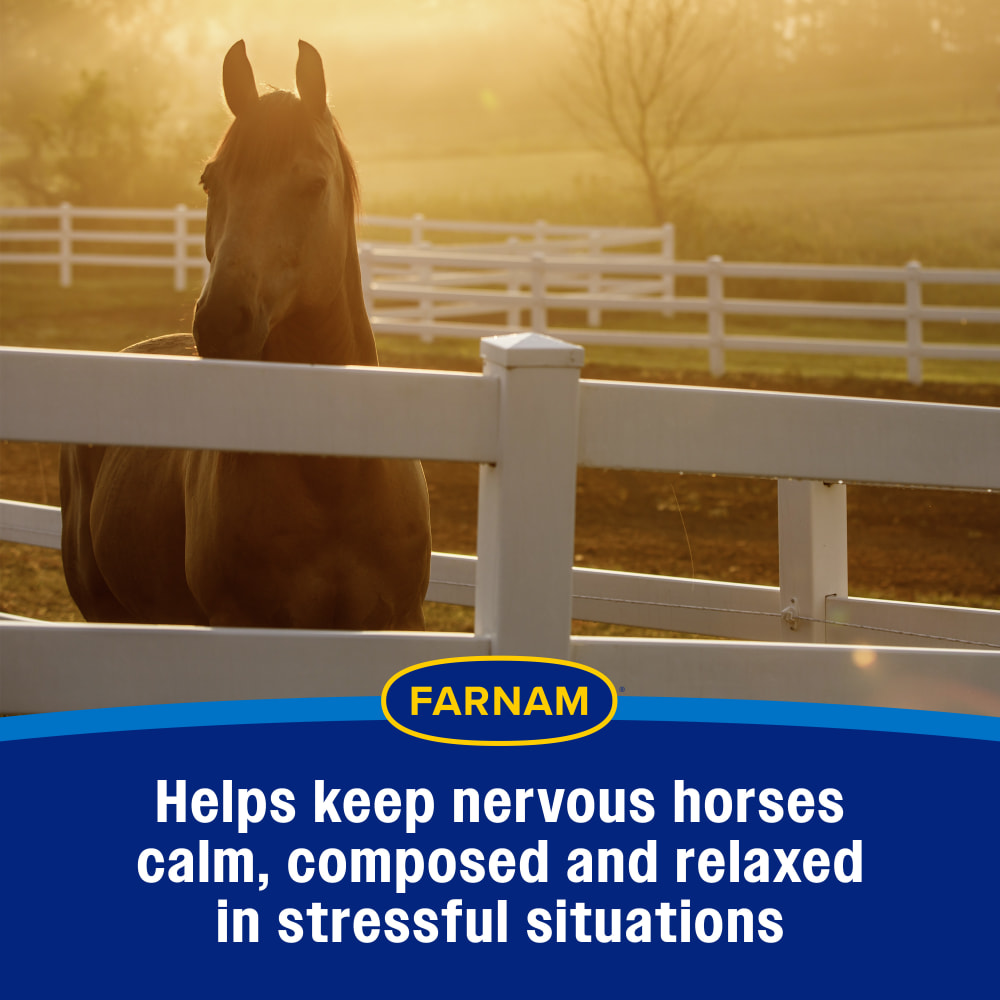 Helps keep nervous horses calm, composed & relaxed