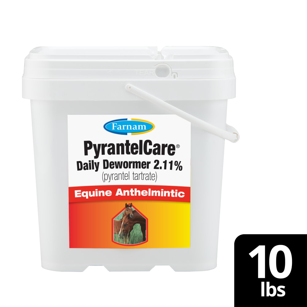 PyrantelCare Daily Dewormer Equine Anthelmintic | Deworming