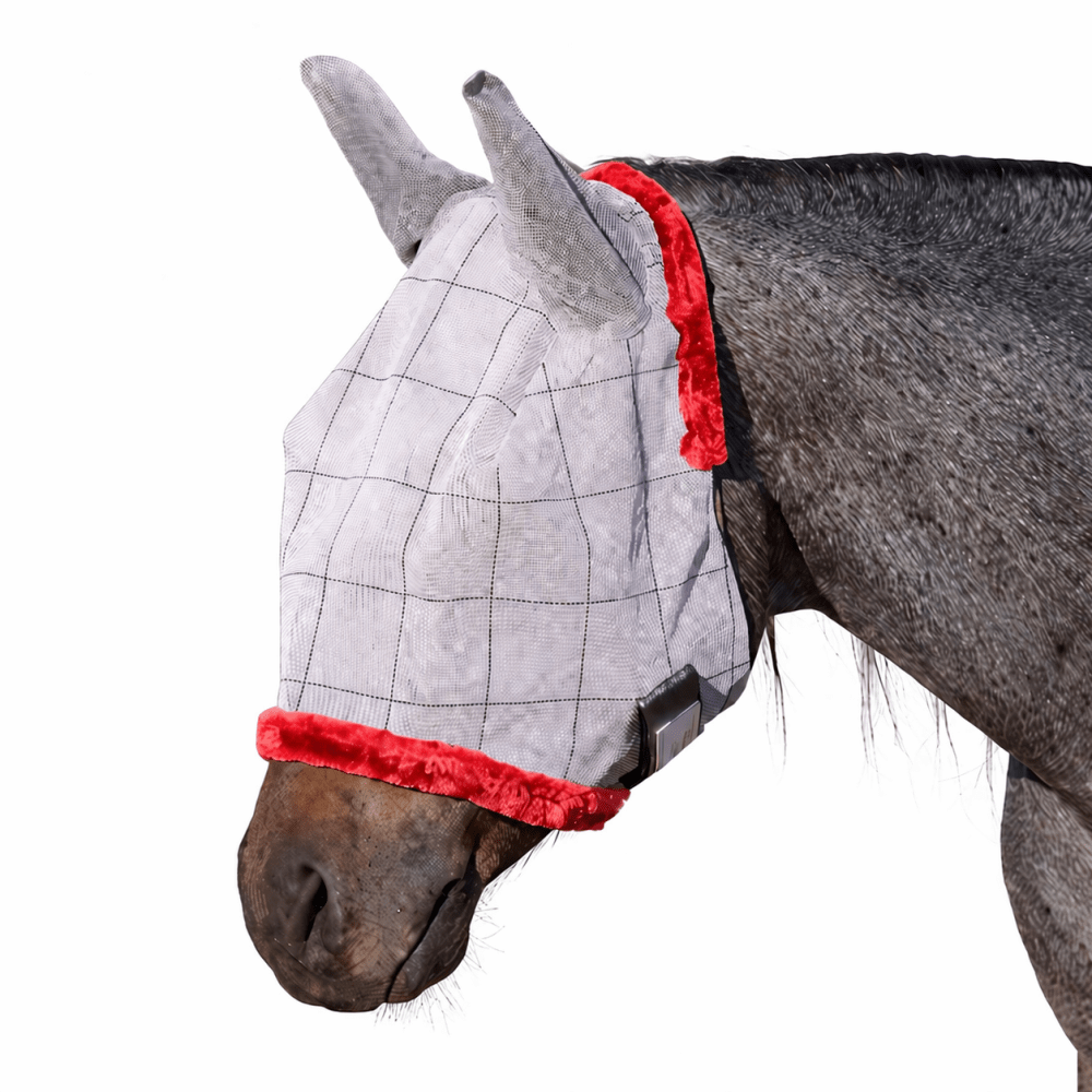 gray-horse-with-fly-mask-close-up