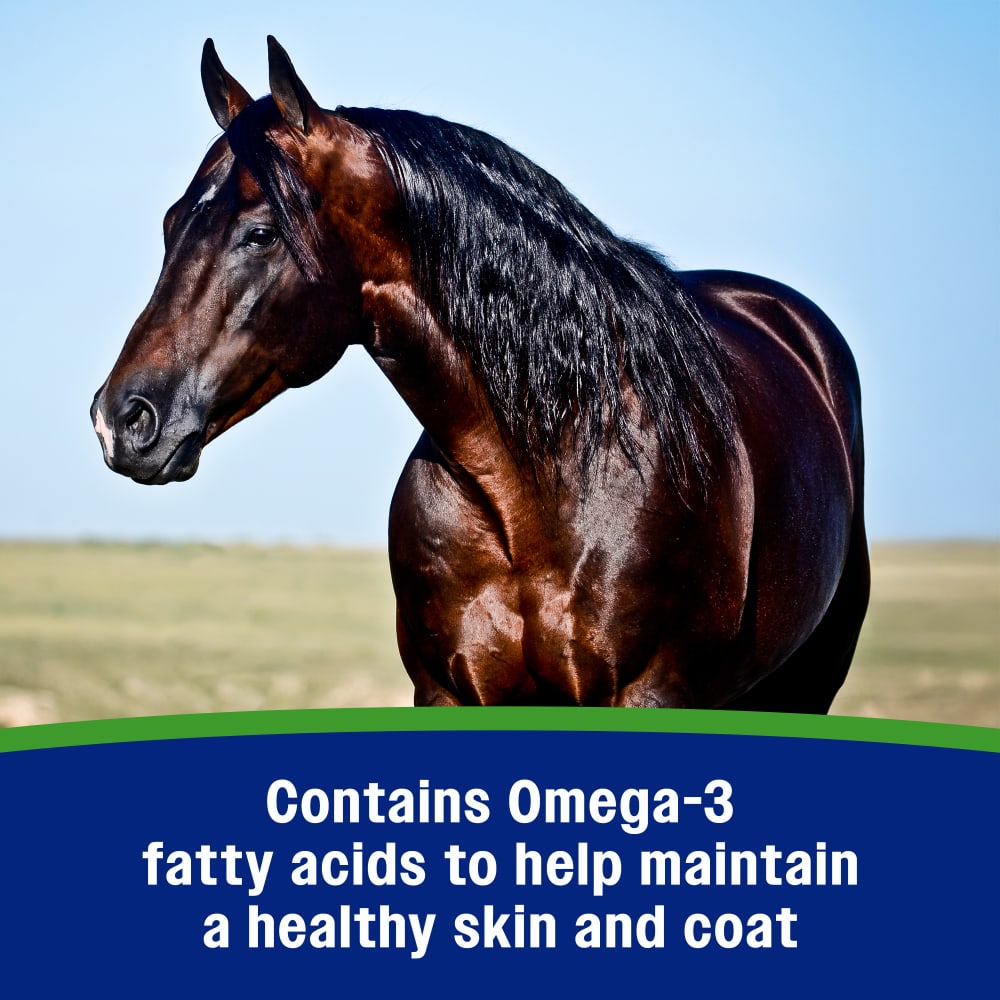 Contains Omega-3 fatty acids to help maintain a healthy skin and coat