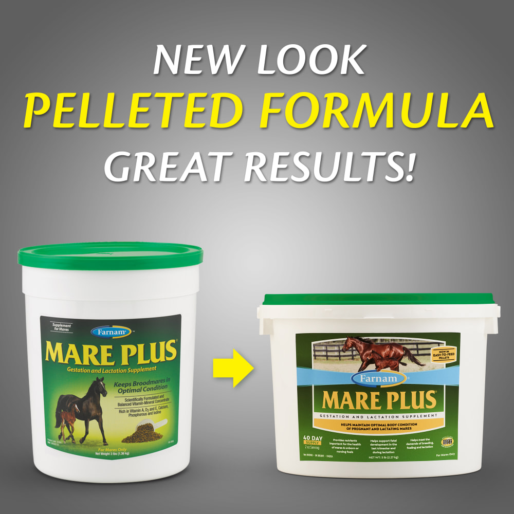farnam-mare-plus-other-images4
