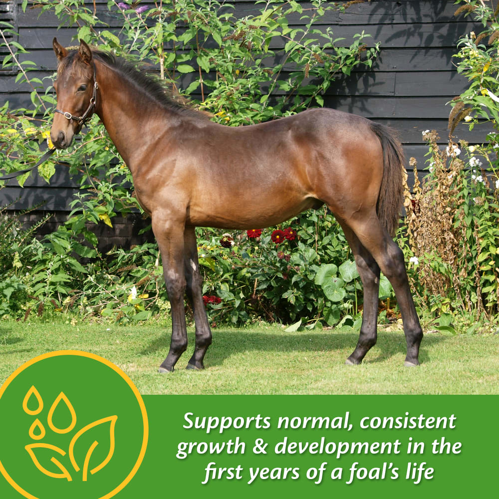 farnam-growcolt-other-images