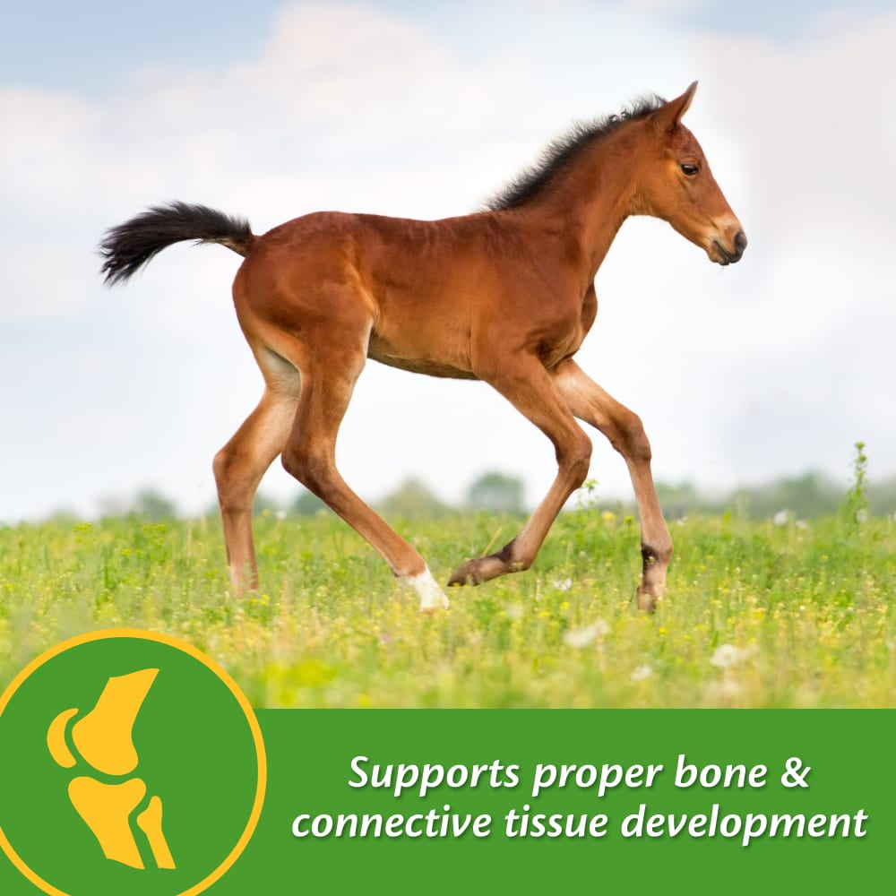 farnam-growcolt-other-images2