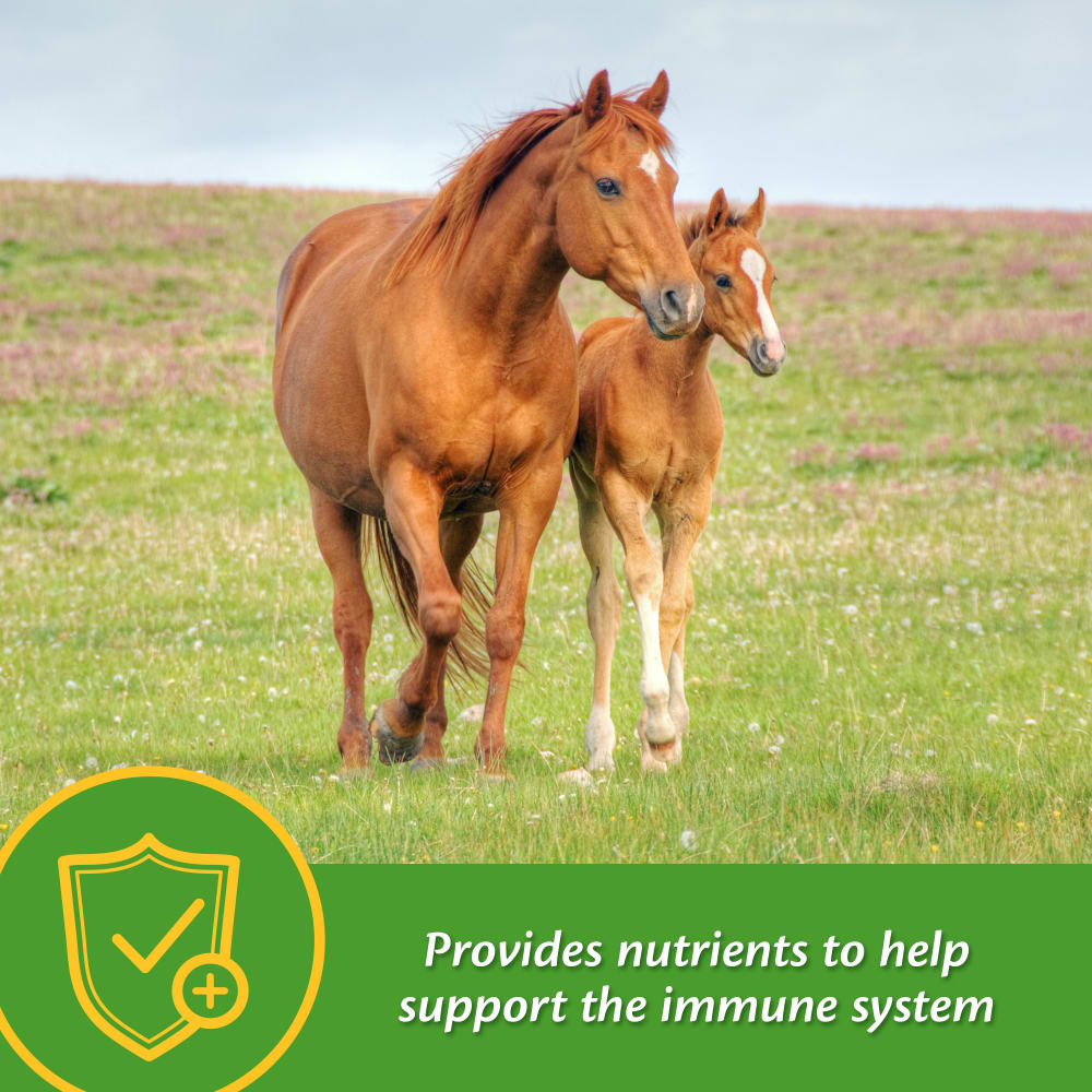 farnam-growcolt-other-images3