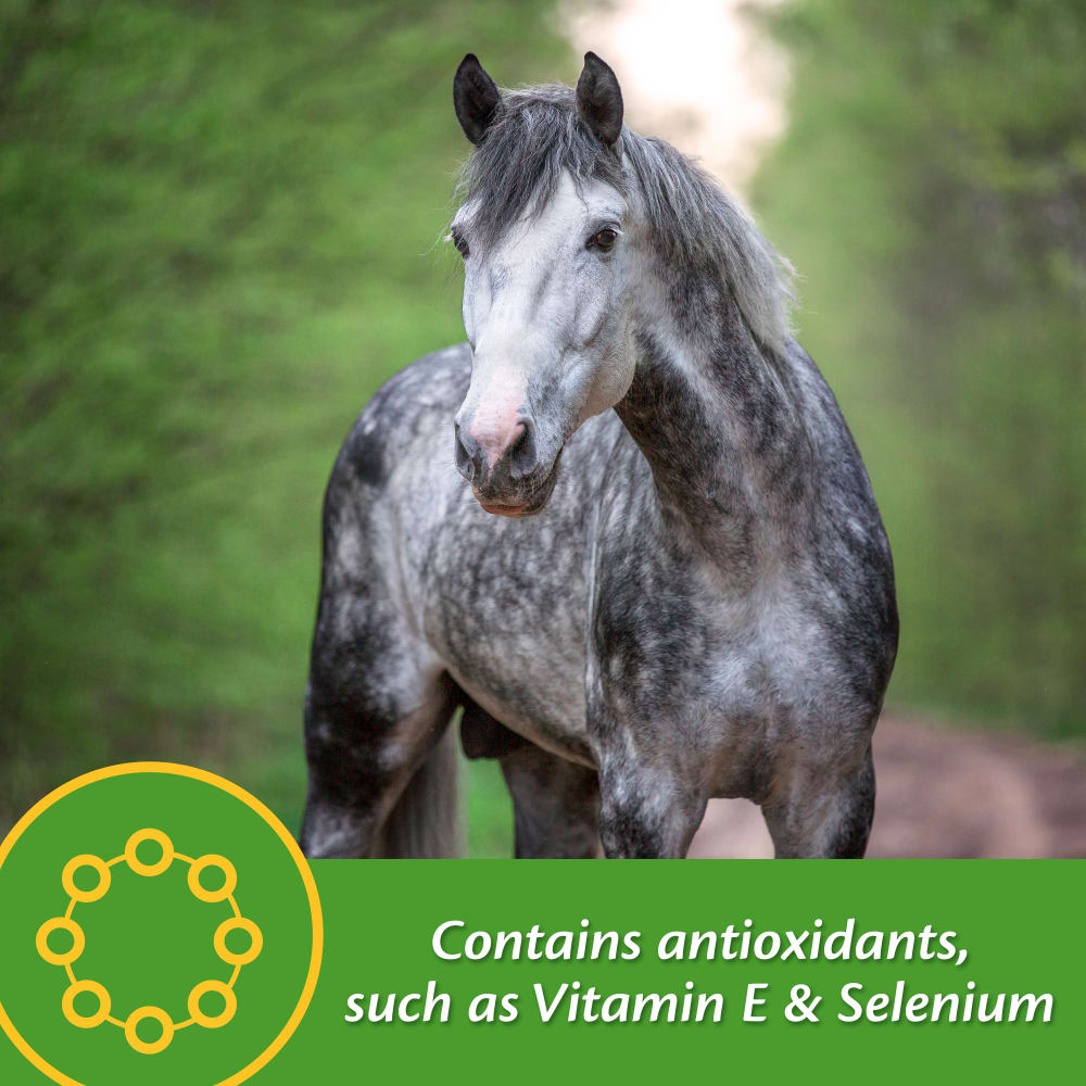farnam-vita-plus-other-images3