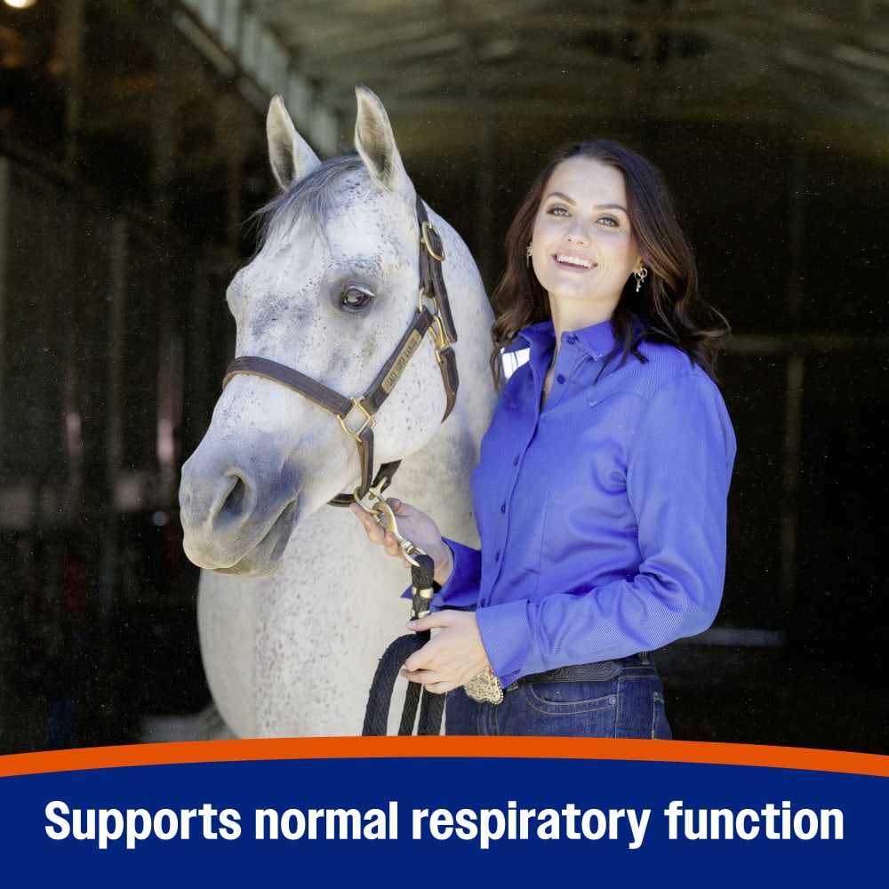 Supports normal respiratory function in horses