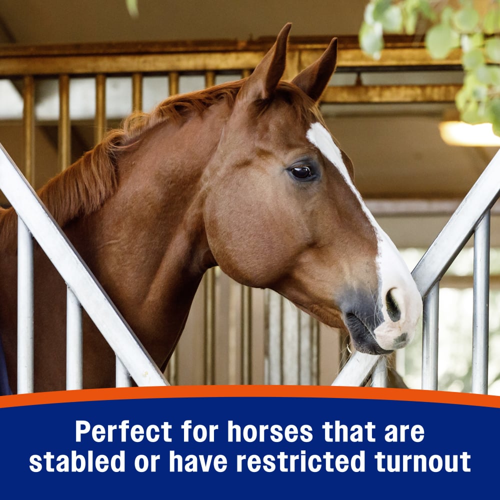 Perfect for horses that are stabled or have limited or restricted turnout