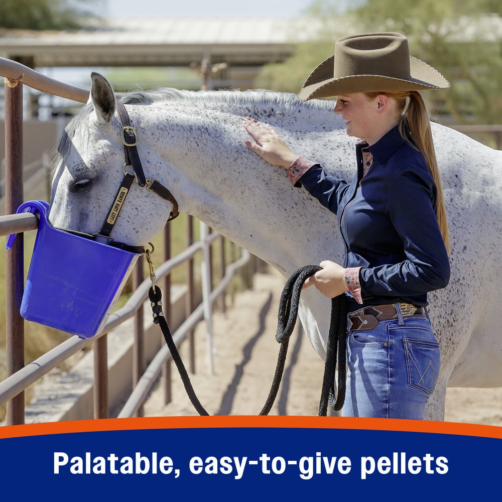 Palatable easy to feed pellets
