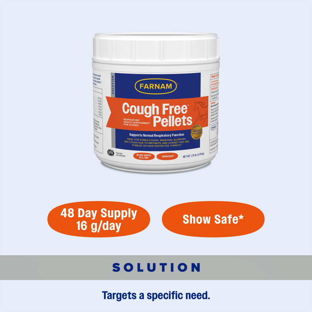 48 day supply 16 g per day, show safe formula for respiratory support in horses