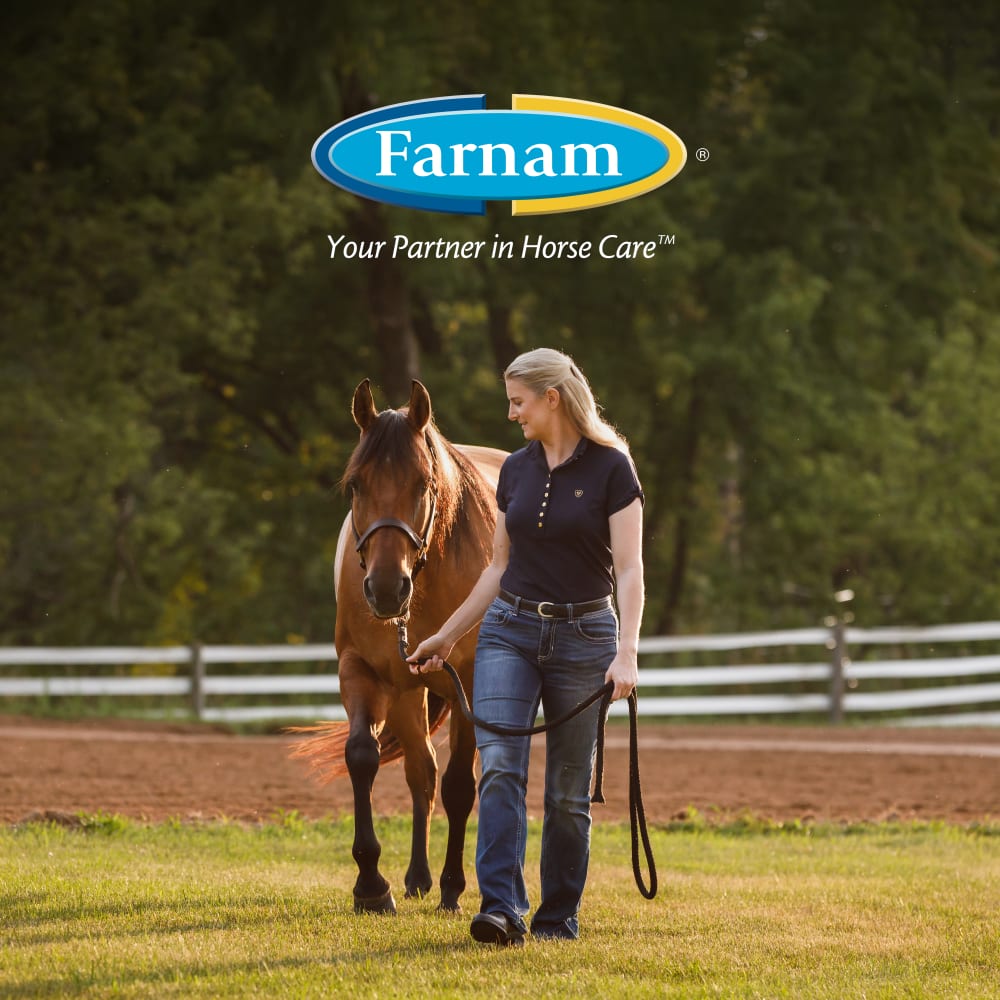 farnam-lifestyle20brandingb