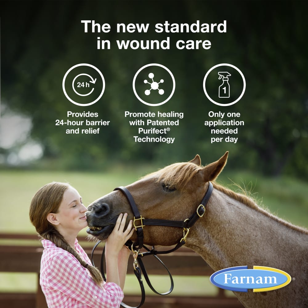 Promote healing with patented purifect technology for a 24 hour barrier