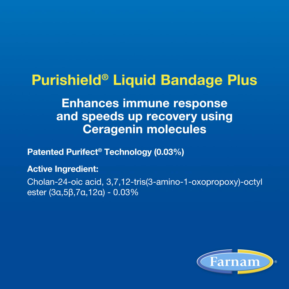 Liquid bandage plus enhances immune response and speeds up recovery using ceragenin molecules