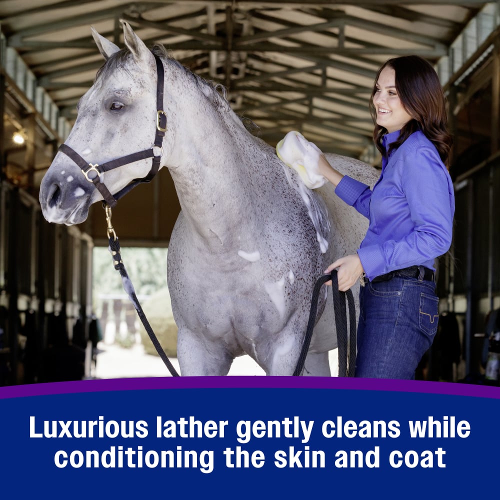 Luxurious lather gently cleans while conditioning the skin and coat