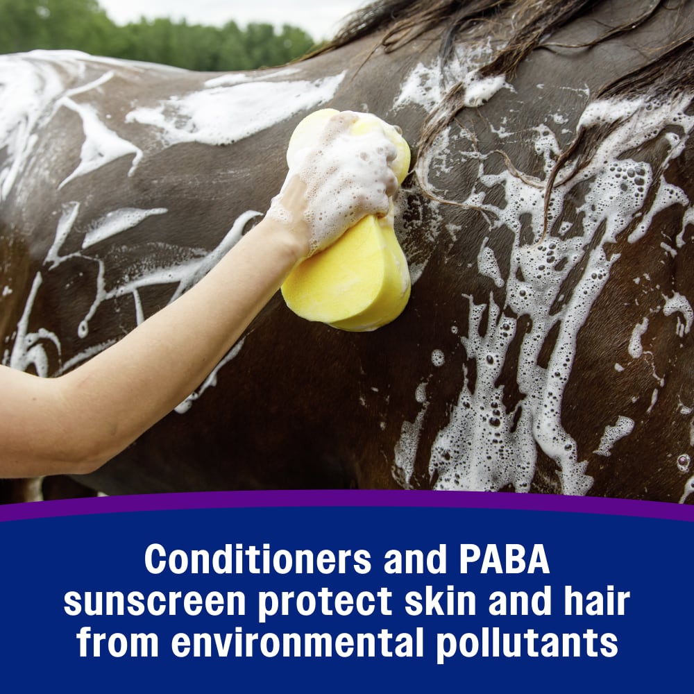 Conditioners and paba sunscreen protect skin and hair from environmental pollutants