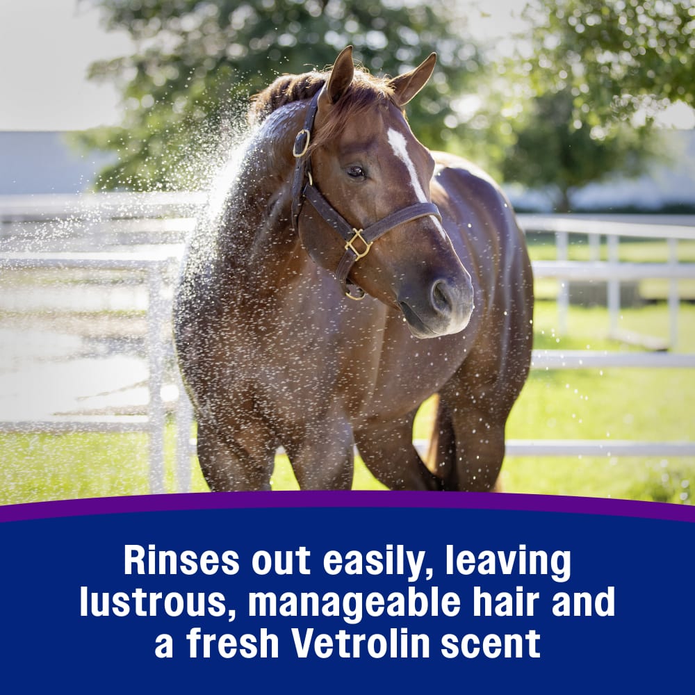 Rinses out easily leaving lustrous manageable hair and a fresh vetrolin scent