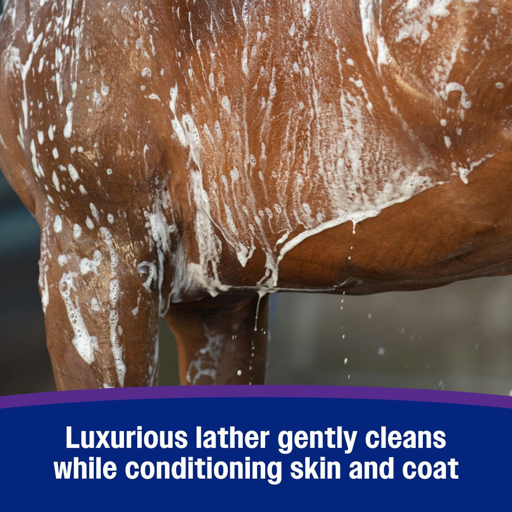 Luxurious lather gently cleans while conditioning skin and coat