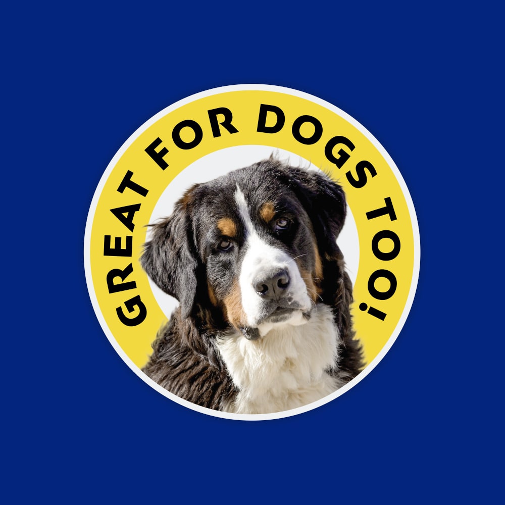 Great for dogs too