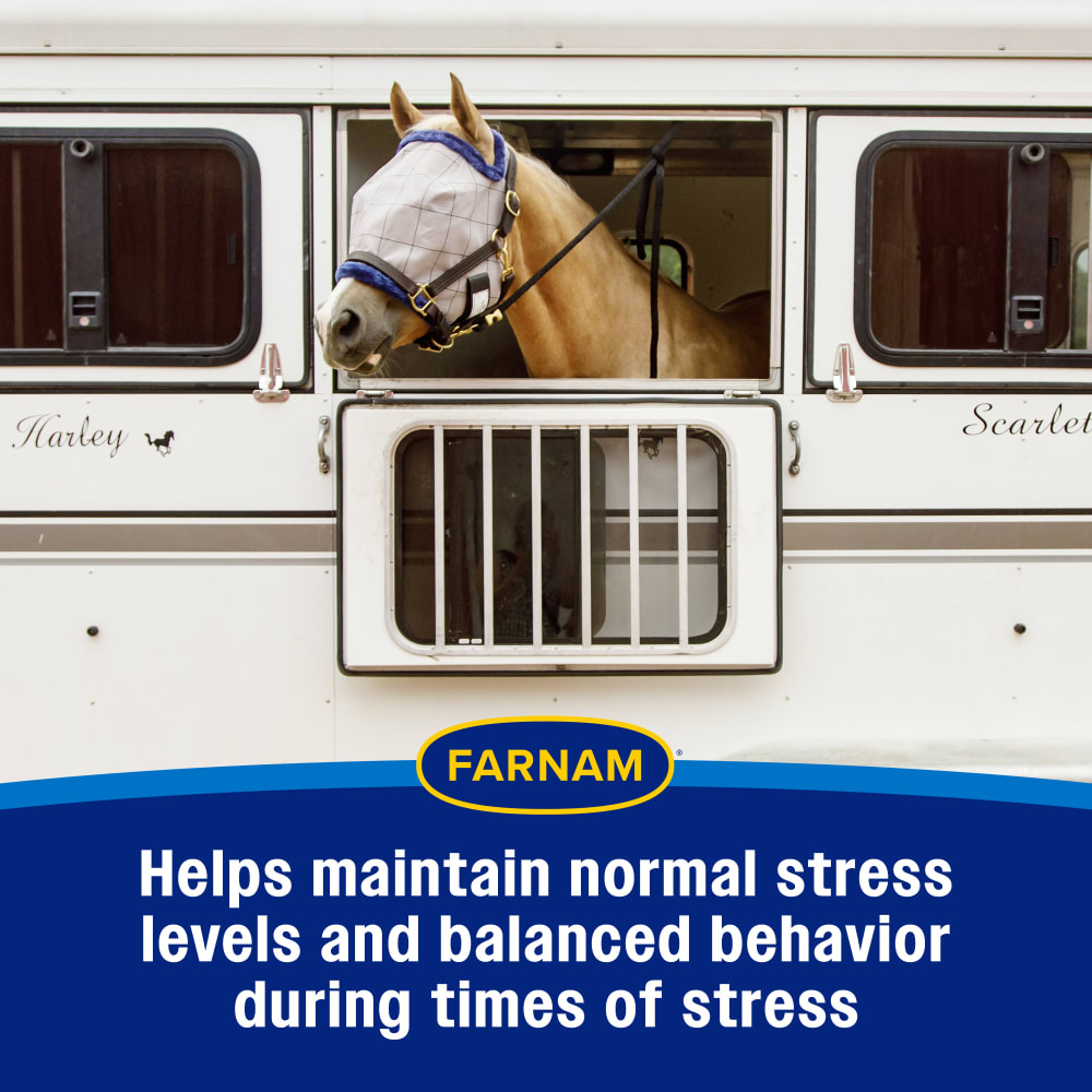 Helps maintain normal stress levels during times of stress