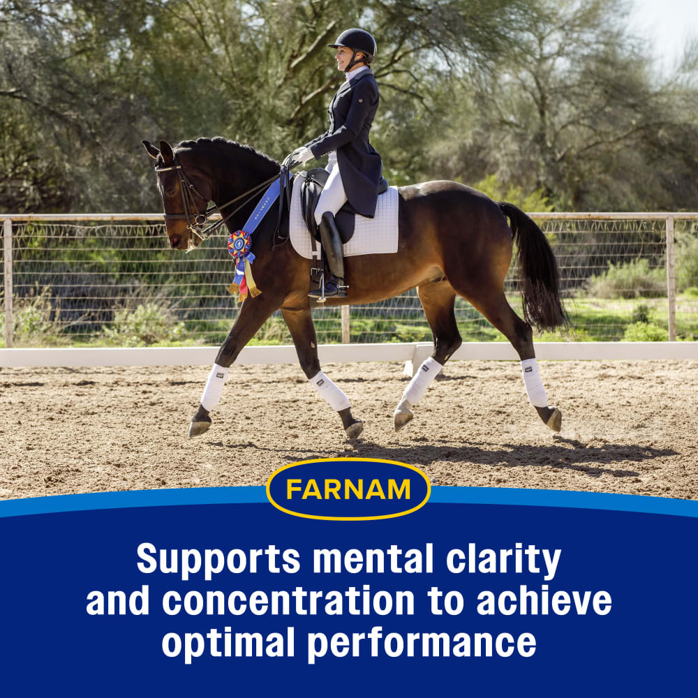 Supports mental clarity & concentration to achieve optimal performance