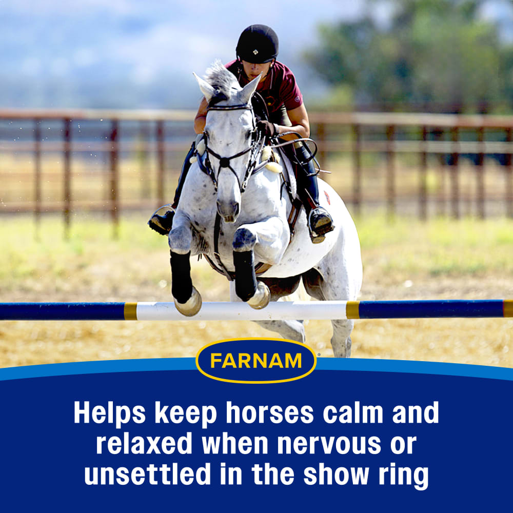 Helps keep horses calm and relaxed  when nervous in the show ring