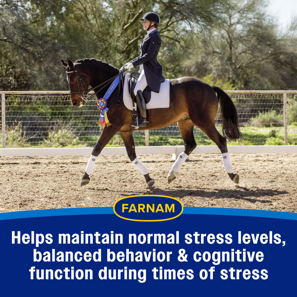 Helps maintain normal stress levels during times of stress