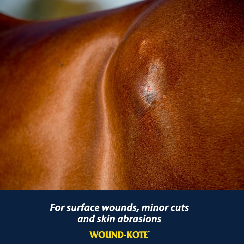 Wound-Kote Blue Lotion Spray for Horses & Dogs | Farnam