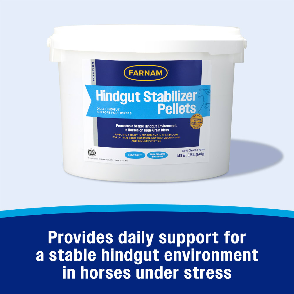 Provides daily support for a stable hindgut environment in horses under stress