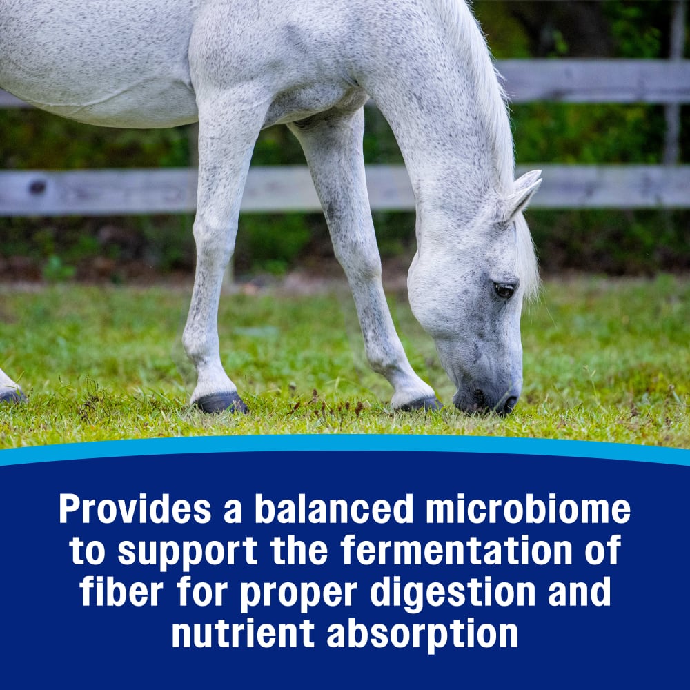 Farnam hindgut stabilizer pellets provide a balanced microbiome