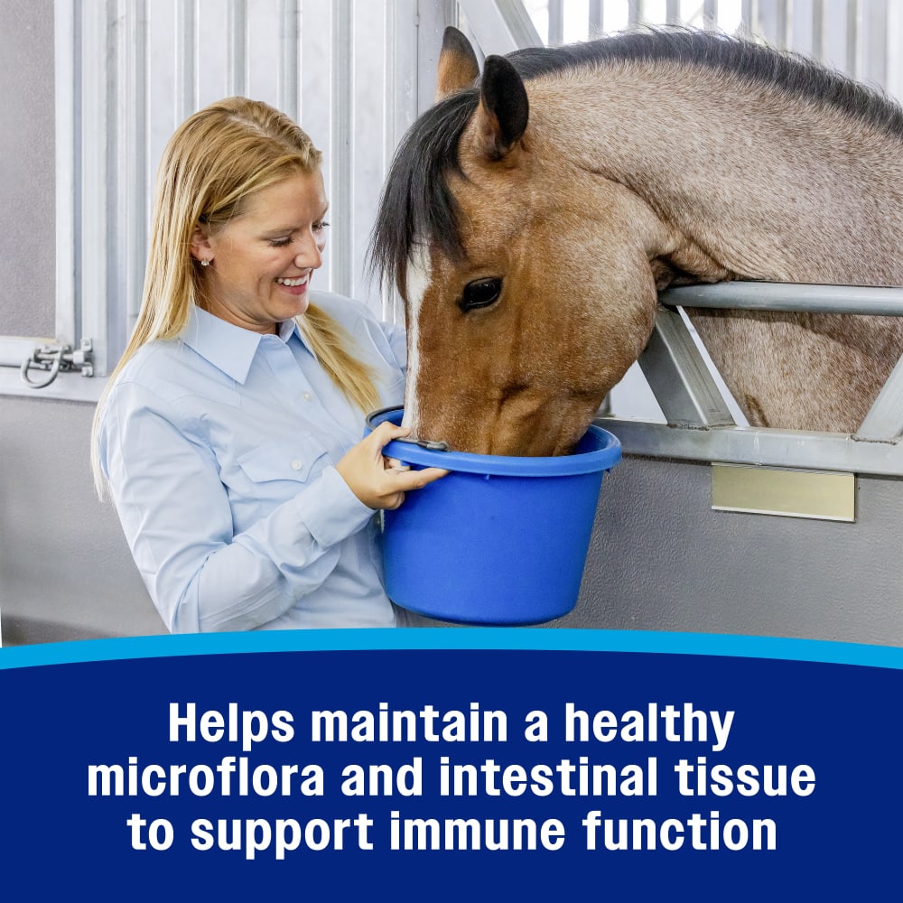 Helps maintain a healthy microflora and intestinal tissue to support immune function