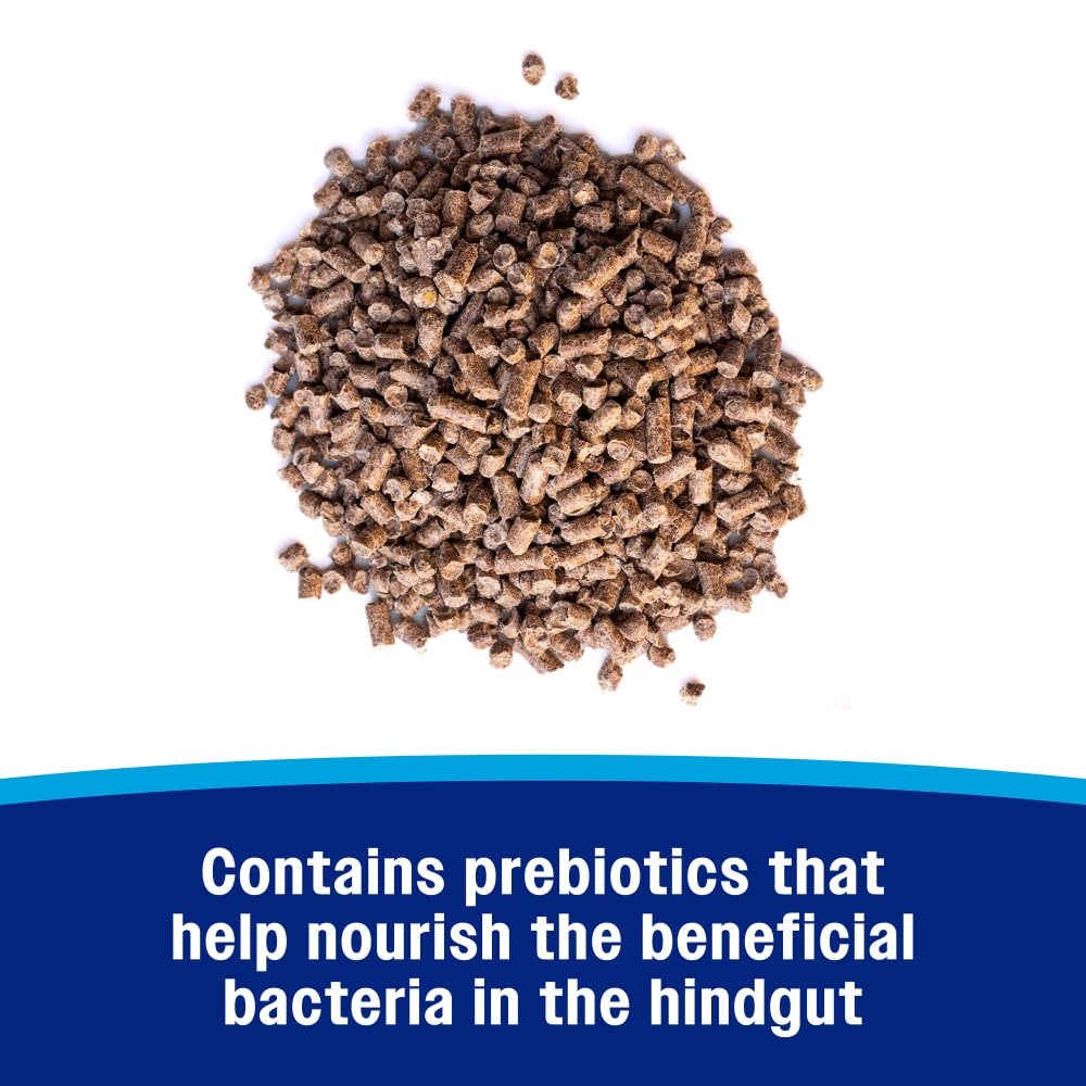 Contains prebiotics that help nourish the beneficial bacteria in the hindgut