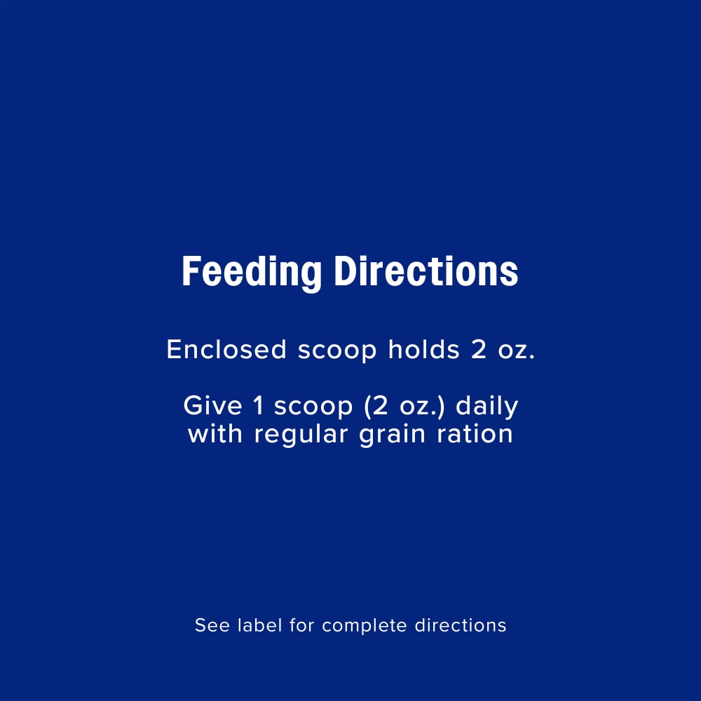 Give 1 scoop daily with regular grain ration