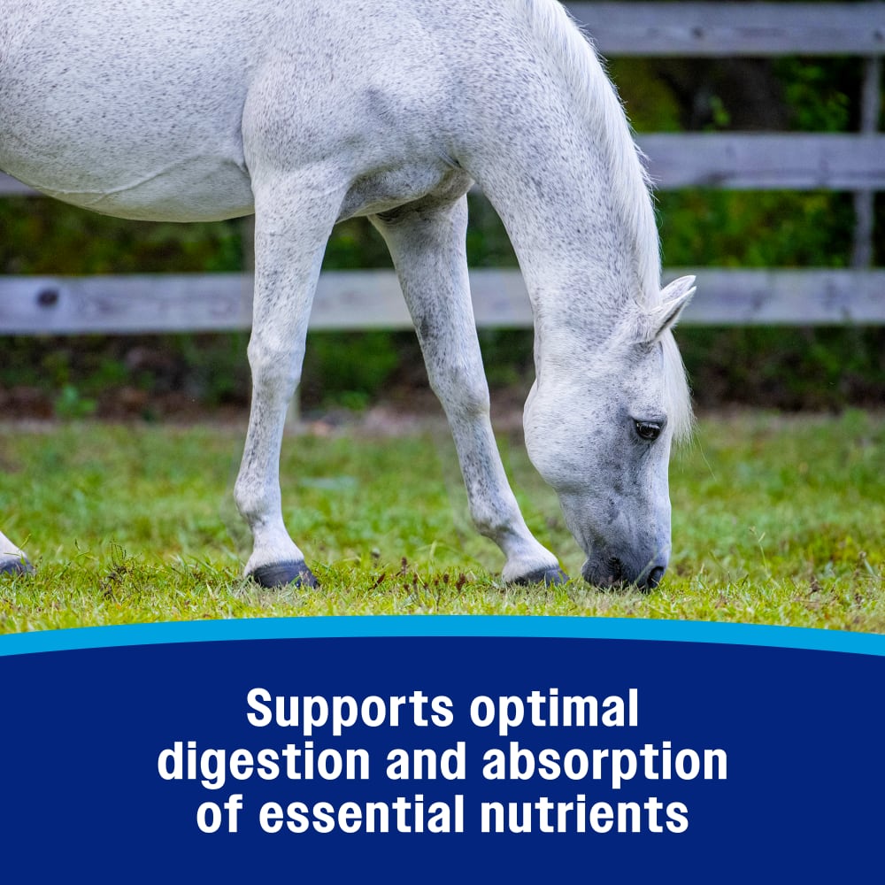 Farnam probiotic paste supports optimal digestion and absorption of essential nutrients