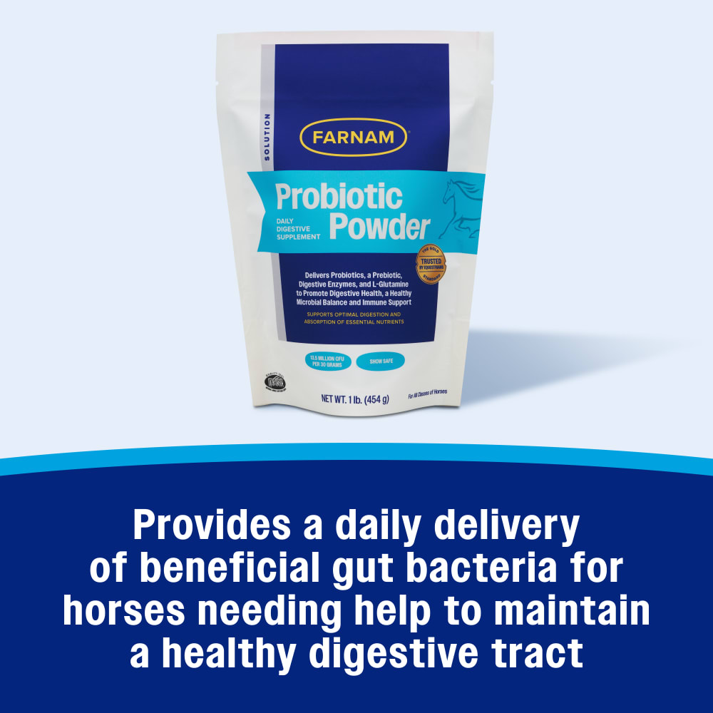 Daily beneficial gut bacteria for horses needing help to maintain a healthy digestive tract